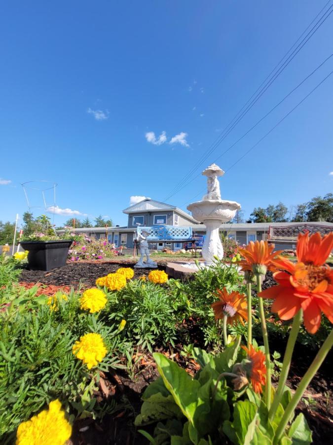 Norvic Motel Coniston Экстерьер фото
